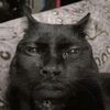 damaswag