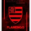 wwwflamengo01.com.br