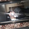 diegosalinas186