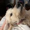 mollyandtilly