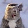 sleepy._otterz