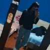 cele__ormachea