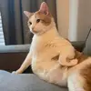 wjbmbfy