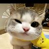 mazalatew_
