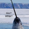 unsuspectingnarwhal