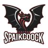 spaikcoockdg