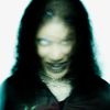 salemvex