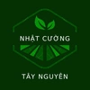 nhatcuongtaynguyen