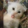 nurmee1111