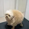 moiistbread