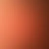 user881225655