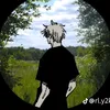 narruto.levi.cj
