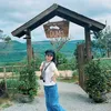 phihong197