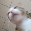 monblurx