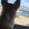 nicolajackson28