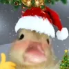 um_nick84