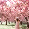 lanny_0007