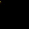 hargundosanjh22