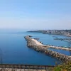 mirkoforte37