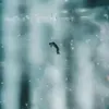 seb_asap