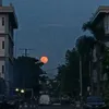bakpaumelon