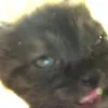 ._.ilikecats3