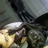 camilabizzle
