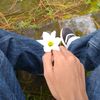 wildiansyah12_