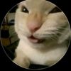 michito_257