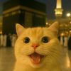 naili.euyy
