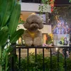 nguyen_thi_gao_2020