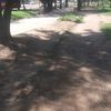 travizcoria