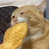 _zzzz.112