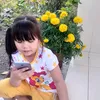 nidepgai_12