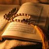 mokhtar_m1