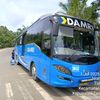 ainun_damar