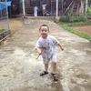 levietgiabao79