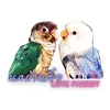 chulee_jiew