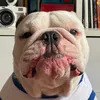 mrbaldowee