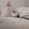 younghoonandhajinplayin0