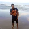 wislysevere