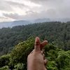 deaar7