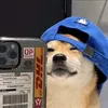 kauex7