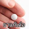 nicheedog.38