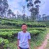 prstywn11