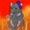 ristorotta1