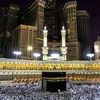 elsayed871