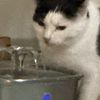 williammr_wx