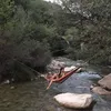 mstherethere