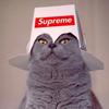 supremehatcat